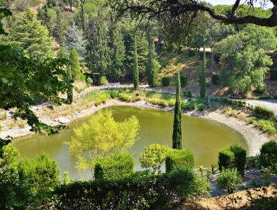 Catanzaro, entro l’estate la riapertura della Pineta di Siano