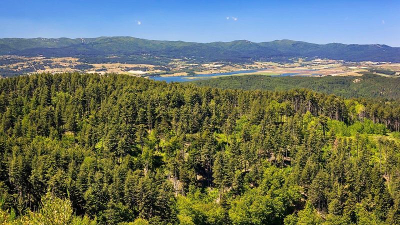 Tutela di specie e habitat , il Parco della Sila nel progetto NATURES