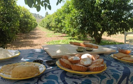 WhatsApp Image 2023 08 22 at 17.41.50 e80d816a - Meraviglie di Calabria - 21