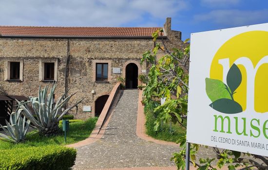 Museo del Cedro Santa Maria del Cedro e96eaaf1 - Meraviglie di Calabria - 6