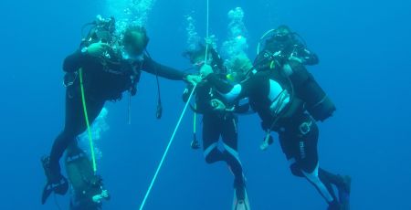 Mare PARCO SECCADIAMENDOLARA cover eb548f66 - Meraviglie di Calabria - 25