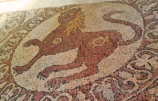 Rossano Santa Maria del Patire Patirion mosaico eb105251 - Meraviglie di Calabria - 22