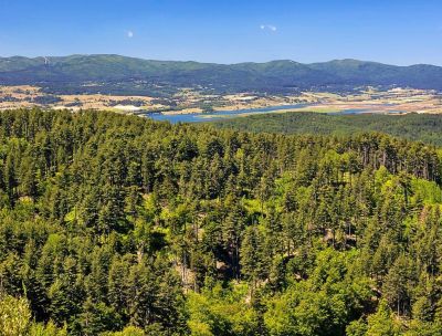 Tutela di specie e habitat , il Parco della Sila nel progetto NATURES