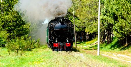 Treno Sila ph Rodolfo Scrivano 1 ecf98878 - Meraviglie di Calabria - 5