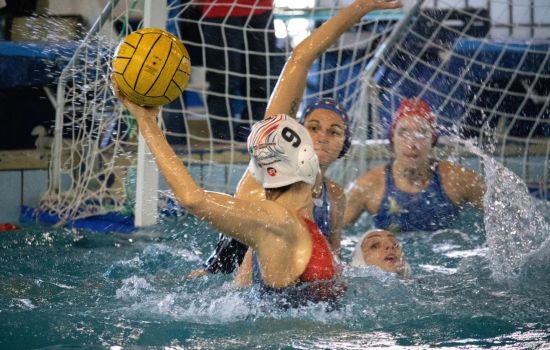 Pallanuoto 1 eda14786 - Meraviglie di Calabria - 35