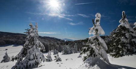 inverno in sila ee2dce58 - Meraviglie di Calabria - 5