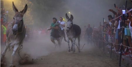 Laino Borgo Palio ciucci ph Biagio Lagada cover ef354e11 - Meraviglie di Calabria - 39