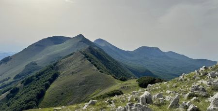 Pollino ph @antoninograsso eff0814a - Meraviglie di Calabria - 15