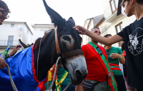 Laino Borgo Palio cu i ciucci ph Biagio Lagada f0656dca - Meraviglie di Calabria - 1