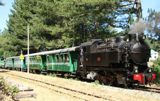 No.353 0 8 0T Borsig 1926 Treno della Sila Italy 50834732273 scaled f047b2cc - Meraviglie di Calabria - 25