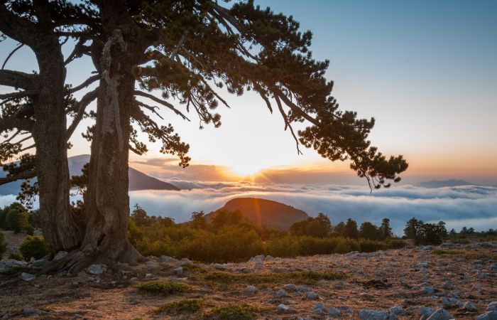Visita il Parco Nazionale del Pollino