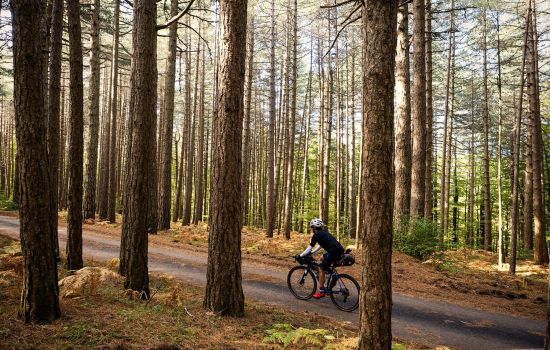 ciclovia dei parchi ph @paolociaberta f0505f40 - Meraviglie di Calabria - 1