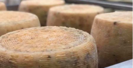 pecorino monte poro f03017a0 - Meraviglie di Calabria - 28
