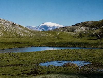 Pollino Film Festival, a Masistro Park tre giorni di cinema nella natura