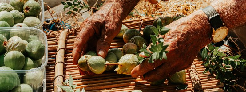 Lo yogurt artigianale con fichi dottati e melassa, un dolce che racconta due storie