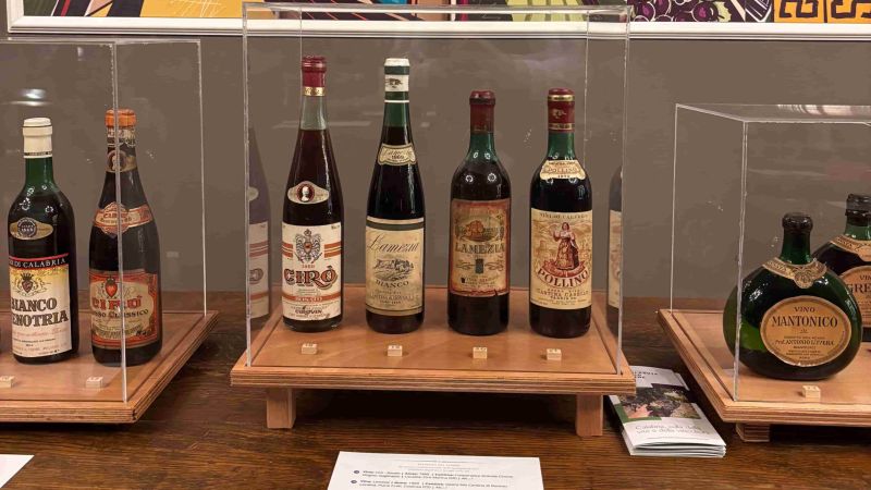 Vino antiche etichette Calabria Wild Wine 8 a scaled f2f31236 - L’essenza del tempo, piccolo viaggio tra le etichette di vino calabrese - 1 L’essenza del tempo, piccolo viaggio tra le etichette di vino calabrese