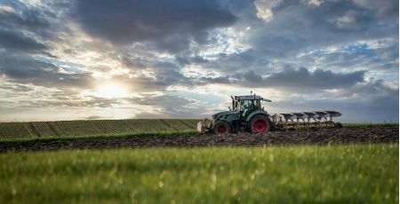 agricoltura campo trattore f2cb55b9 - Meraviglie di Calabria - 33