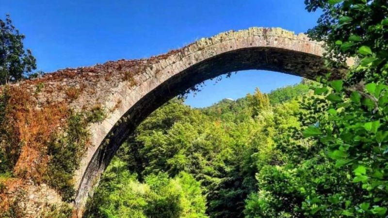 ponte meraviglie f2174feb - Se la storia si ripete: Annibale vs Roma, sul Ponte Romano di Scigliano - 1 Se la storia si ripete: Annibale vs Roma, sul Ponte Romano di Scigliano