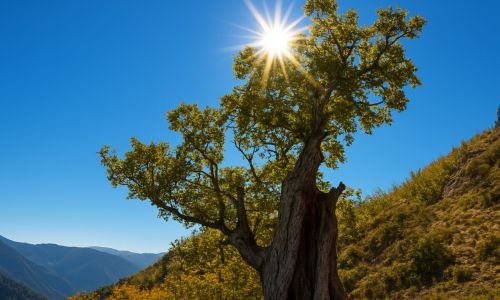 Parco aspromonte Demetra f3cbd26b - Meraviglie di Calabria - 8