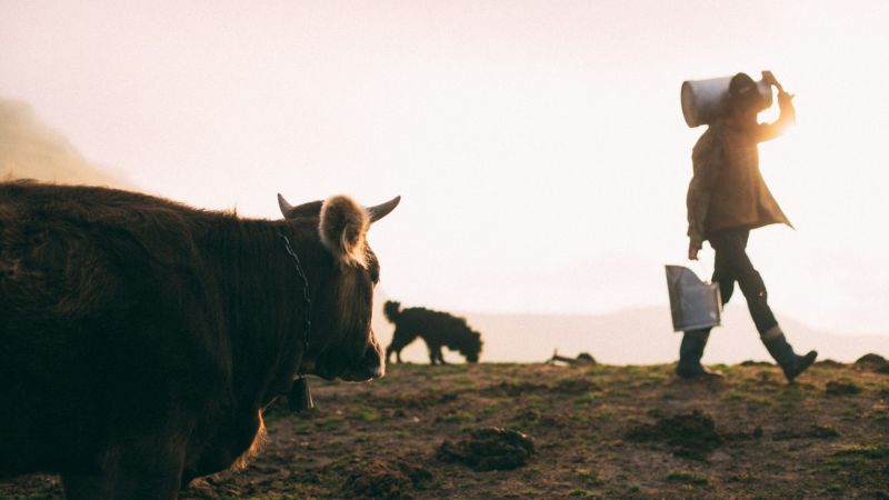 Se la rivoluzione è restare, storie di calabresi testardi in “Voci e Visioni”