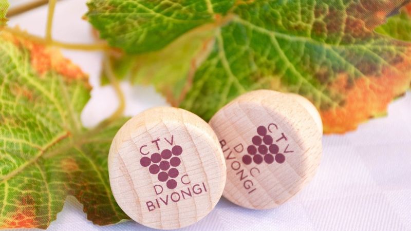 Consorzio vini Bivongi Doc cover 1 f4ee938f - Bivongi DOC al Vinitaly, il racconto del territorio in un calice - 1 Bivongi DOC al Vinitaly, il racconto del territorio in un calice