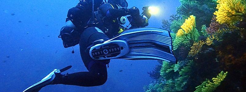 Turismo subacqueo in Calabria, tra i fondali più ricchi del Mediterraneo