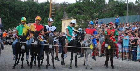 palio cu i ciucci laino borgo 1280x720 2 f426ad1f - Meraviglie di Calabria - 24