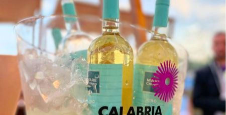 vinitaly cover f47cf0e5 - Meraviglie di Calabria - 29