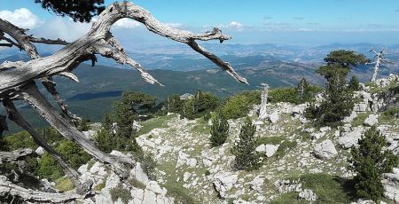 parco pollino f6c6b917 - Meraviglie di Calabria - 44