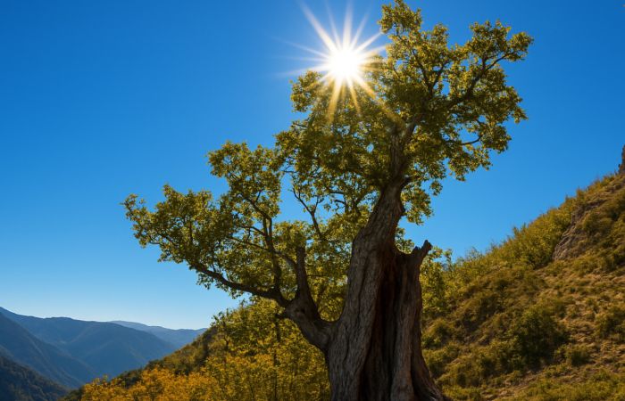 Il cuore selvaggio dell’Aspromonte