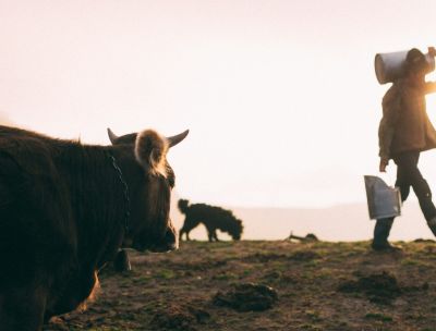Se la rivoluzione è restare, storie di calabresi testardi in “Voci e Visioni”