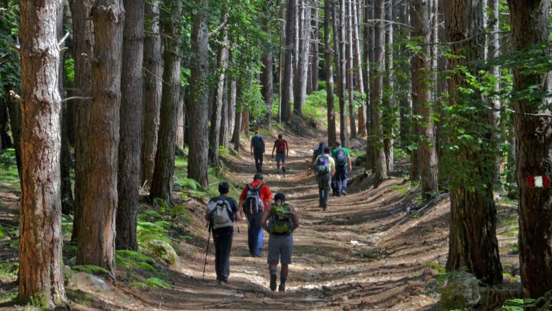 Aspromonte escursioni f8434d1e - Ente Parco Aspromonte, le best practices lungo il Sentiero Calabria - 1 Ente Parco Aspromonte, le best practices lungo il Sentiero Calabria