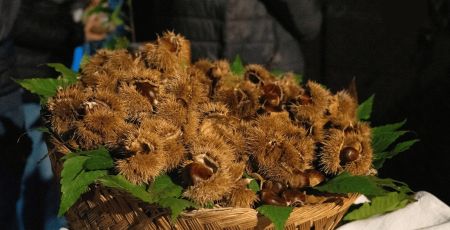 Castagna angoli Serrastretta 2 f88e2893 - Meraviglie di Calabria - 7