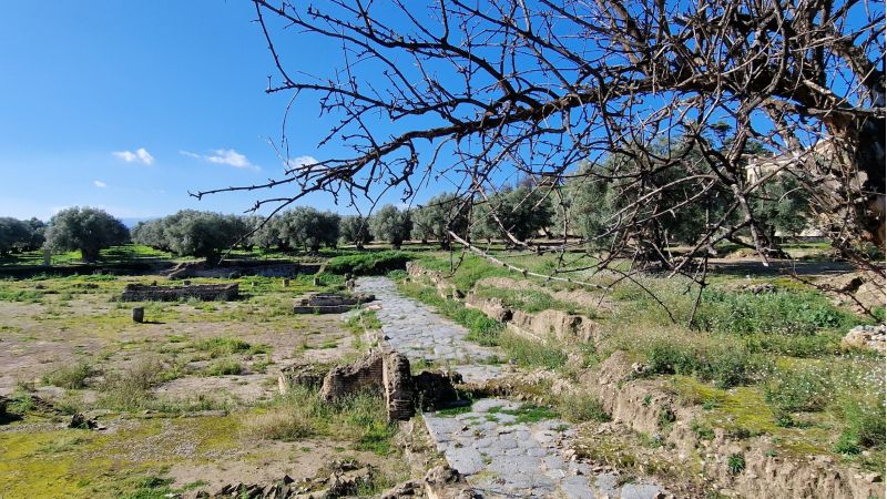 20240128 104020 scaled f98ea078 - A Scolacium le iscrizioni che rivelano usanze romane - 1 A Scolacium le iscrizioni che rivelano usanze romane