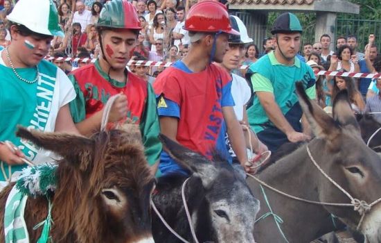 Il palio dei ciucci e1707321218437 f9e616e2 - Meraviglie di Calabria - 15