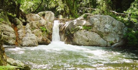 Valli cupe 1 e1773148294813 f9cb7686 - Meraviglie di Calabria - 28