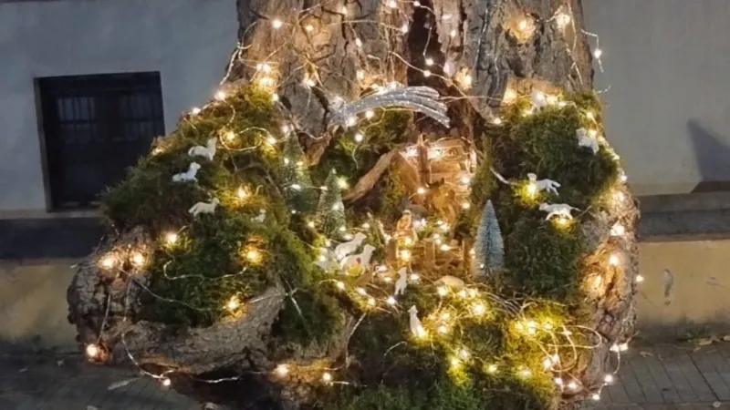 Il presepe nell’albero, una piccola magia di Natale su Google Maps