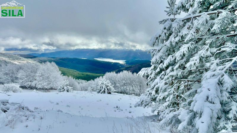Cammina sila neve ciaspolata 22 fb70e36c - Natale alternativo, ecco le attività outdoor tra le bellezze della Sila - 1 Natale alternativo, ecco le attività outdoor tra le bellezze della Sila