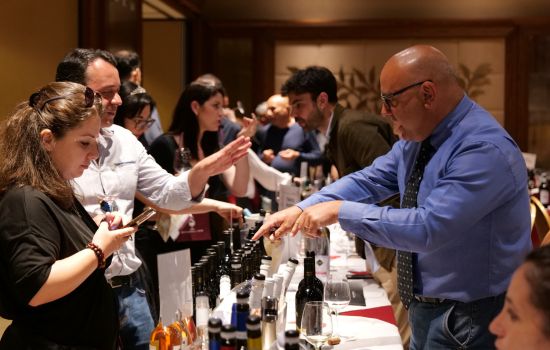 Vino beviamoci sud roma sala degustazione fbd2c816 - Meraviglie di Calabria - 1