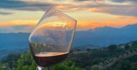 calice di Magliocco Dolce sulle colline di Bisignano Cosenza e1716203974411 fb01c1b1 - Meraviglie di Calabria - 39