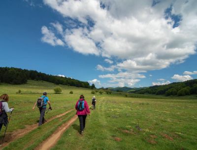 Connettersi con la natura, a Sorbo San Basile nasce Ecoritmi Culturali