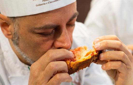 Colomba concorso 2025 21 fef437c0 - Meraviglie di Calabria - 1