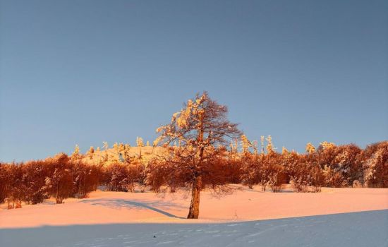 Pollino neve pino loricato giardino degli dei 11 feaee1d7 - Meraviglie di Calabria - 45