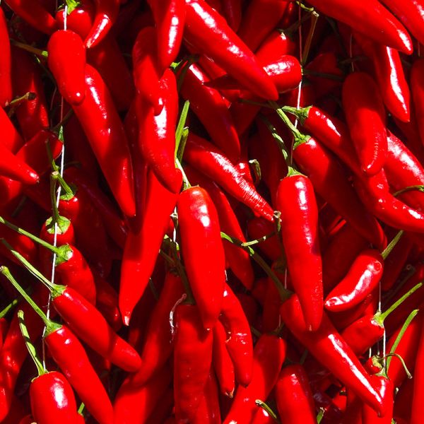 Calabria protagonista al Forum della gastronomia messicana