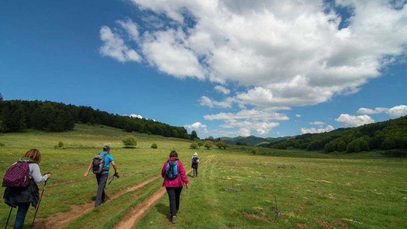 Connettersi con la natura, a Sorbo San Basile nasce Ecoritmi Culturali