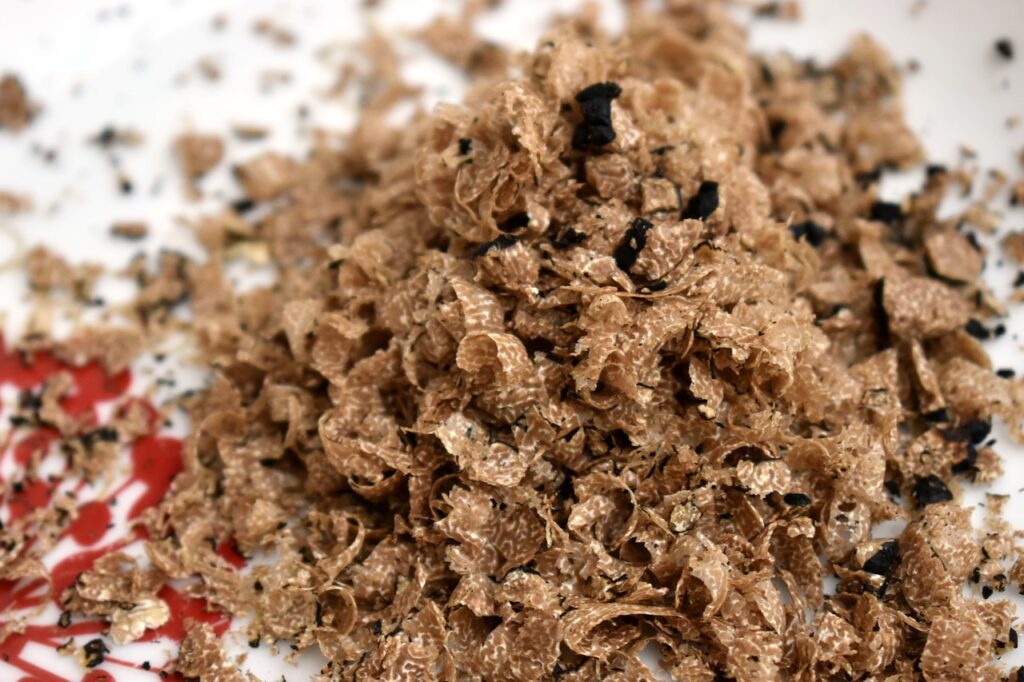 truffle 4538933 1280 - Laino Borgo, domani festa d’autunno con il tartufo del Pollino - 11 truffle 4538933 1280 - Meraviglie di Calabria - 10
