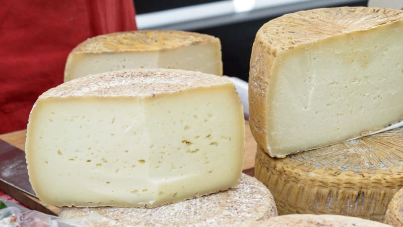 pecorino del monte poro - Saluti dalla Calabria, il nuovo format che svela capolavori gastronomici - 3 pecorino del monte poro - Meraviglie di Calabria - 2