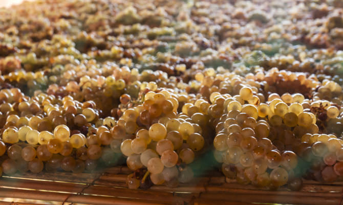 moscato di saracena - Meraviglie di Calabria - 2