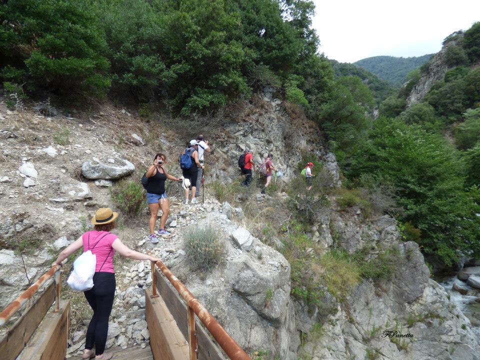 10391024 10202802982136347 4061616622162003298 n - In cammino sulle orme di Gioacchino da Fiore - 3 10391024 10202802982136347 4061616622162003298 n - Meraviglie di Calabria - 2