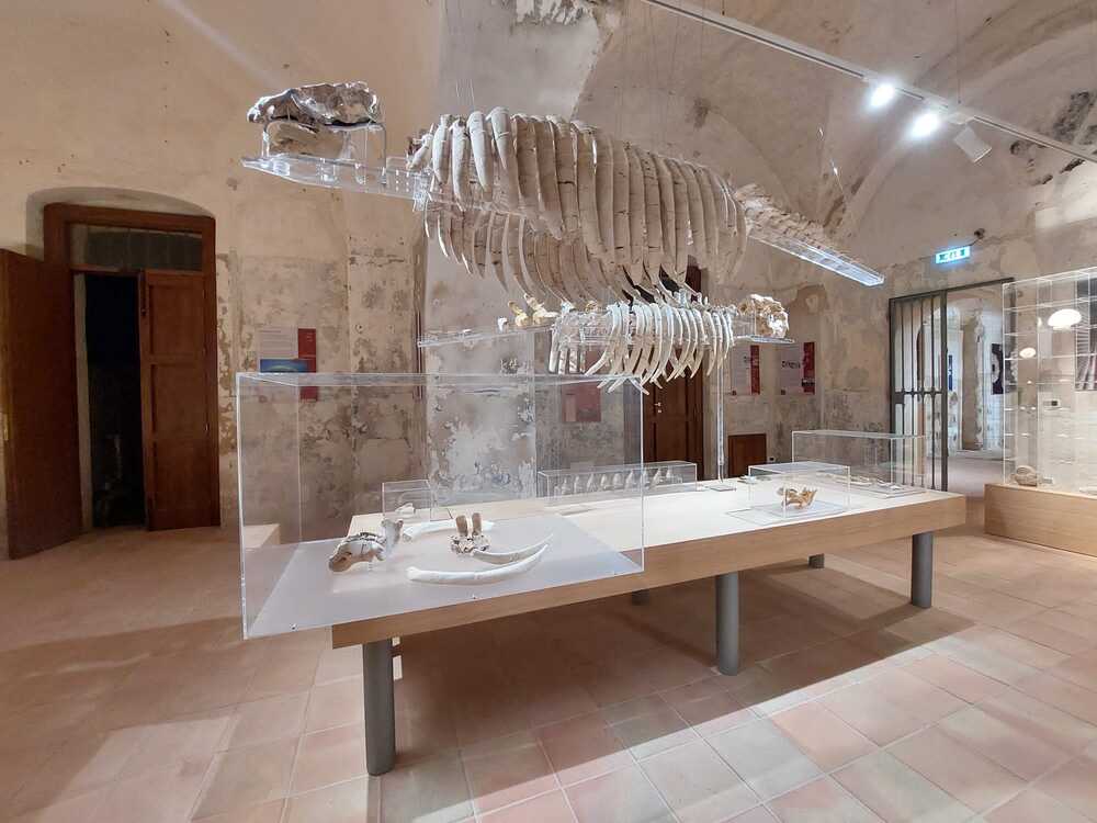 Museo del mare 1 - Meraviglie di Calabria - 2